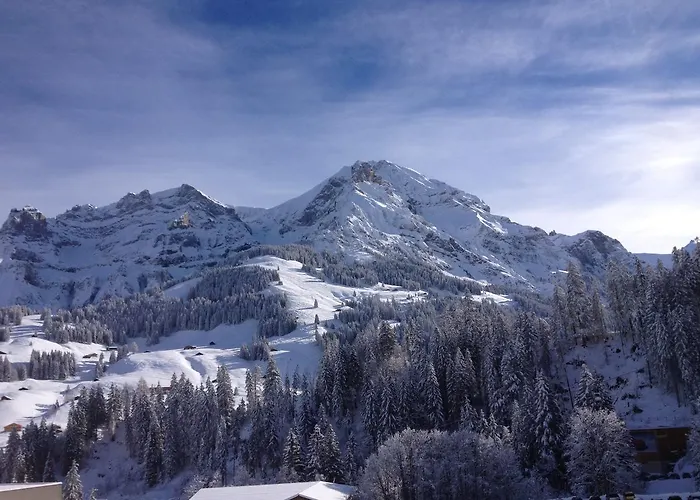 Oeystrasse 10a Διαμέρισμα